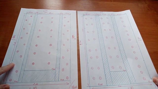 Сколько томатов посадить в теплицу. смотреть онлайн