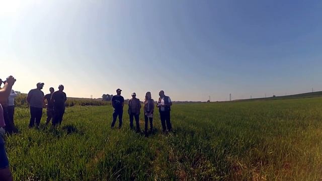 Состязания легавых собак(Згуровка - 01.08.2021) смотреть онлайн