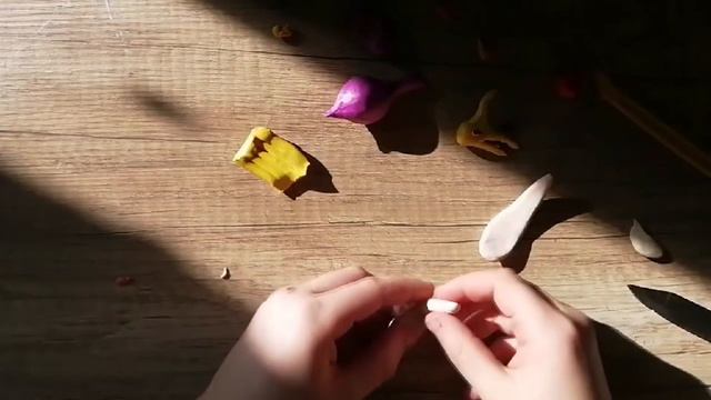 Птеранодон из пластилина смотреть онлайн