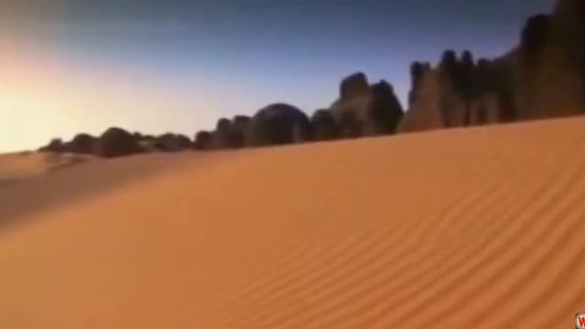 Караваншик али