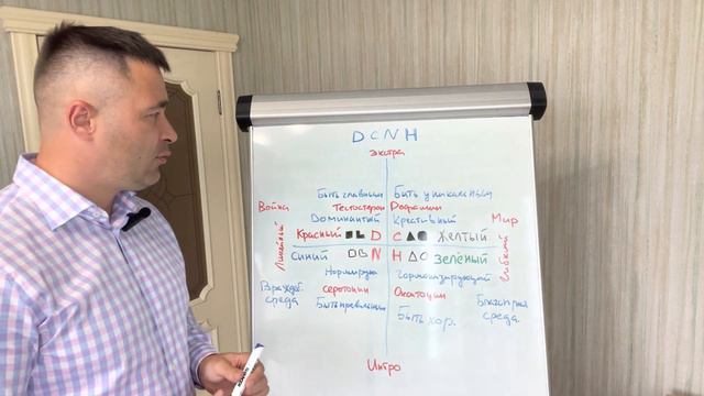 Подтипы в соционике. Система DCNH смотреть онлайн