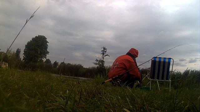 Shimano Catana Fieder Rute  Bei Karpfen Drill . Вываживание карпа лёгким фидерным удилищем .