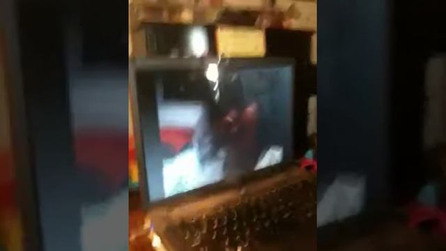 Fin fin friends tropical paradise review смотреть онлайн