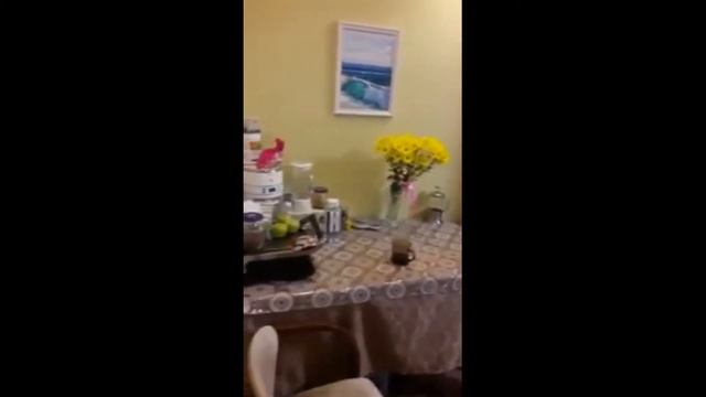 Комната в #Анапе смотреть онлайн