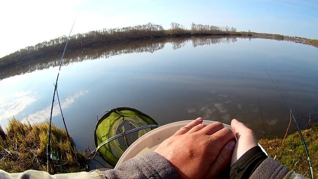 КРУПНАЯ ПЛОТВА В ПРОВОДКУ НА ПОПЛАВОК | ВЕСЕННЯЯ РЫБАЛКА НА ПОПЛАВОК смотреть онлайн