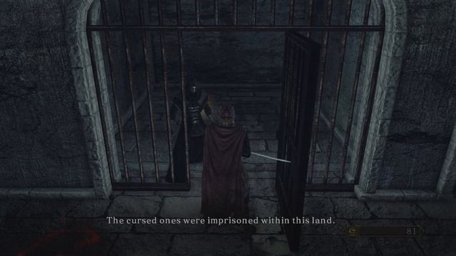 Dark Souls II: Scholar of the First Sin - PS5 - Straid смотреть онлайн