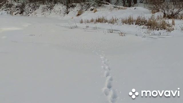 опасный лед на реке, как выглядит промоина на реке! смотреть онлайн