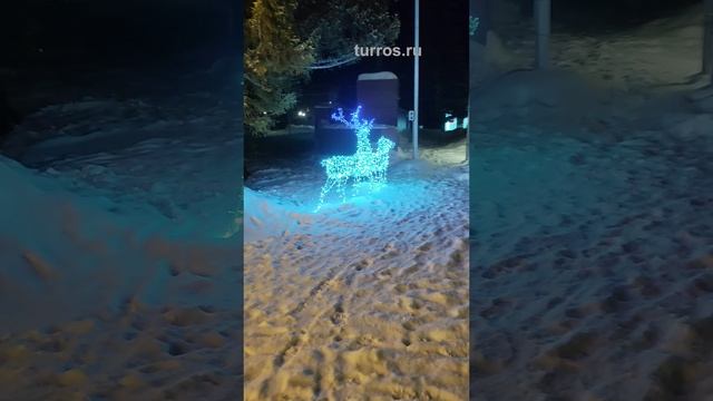 Новогодняя елка на площади