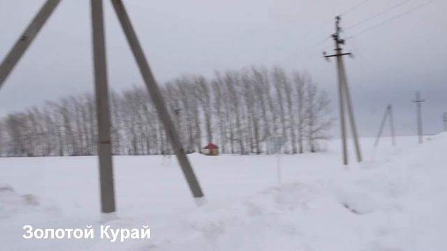 Территория "Золотого Курая" смотреть онлайн