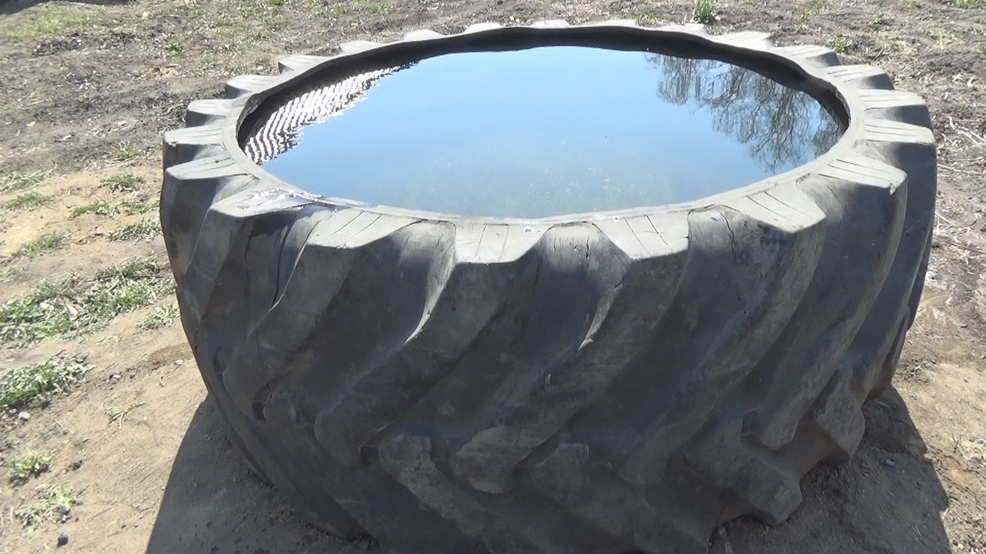 Бассейн из Тракторного Колеса. Бочка для Полива Огорода смотреть онлайн