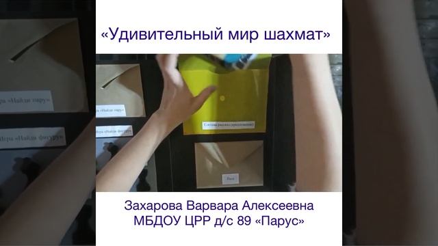 Захарова Варвара Алексеевна Лэпбук "Удивительный мир шахмат" смотреть онлайн