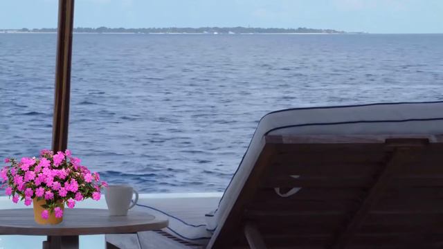 Bakery & Coffee Shop Ambience ♫ Swiss Cafe Sounds, Cafe Jazz Music - Relaxation, Study Music ASMR смотреть онлайн