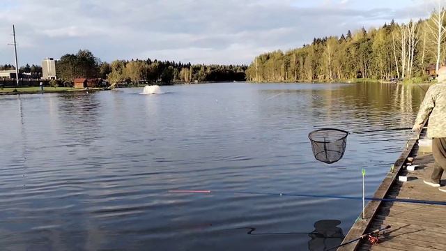 Вечерние поимки смотреть онлайн