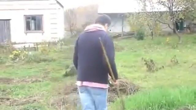 ☘ Огород осенью. Что можно сделать. #лучшаяорганика смотреть онлайн