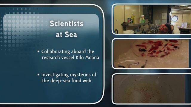 VOS2-15  Full TV Episode - Scientists At Sea