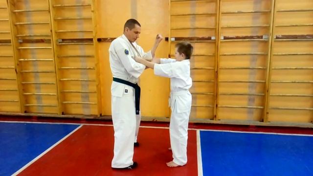 Бункай блока Сэйкэн тюдан ути-укэ / гэдан барай в Кёкусинкай карате и самообороне
