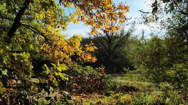 ЗАПОРОЖЬЕ ВОТ И ПРИШЕЛ НОЯБРЬ 01.11.2022. смотреть онлайн