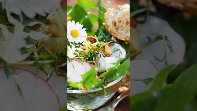 Забудьте о химических лекарствах: Одуванчик - природный целитель от множества заболеваний! смотреть онлайн