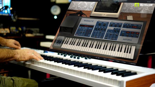 ARTURIA Emulator II V