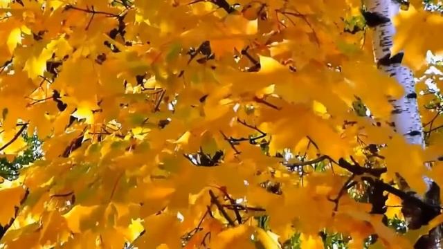 Иван Бунин - Листопад ??? смотреть онлайн