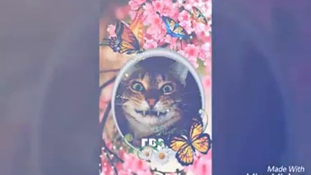 Песня Чумачечая весна онлайн смотреть онлайн