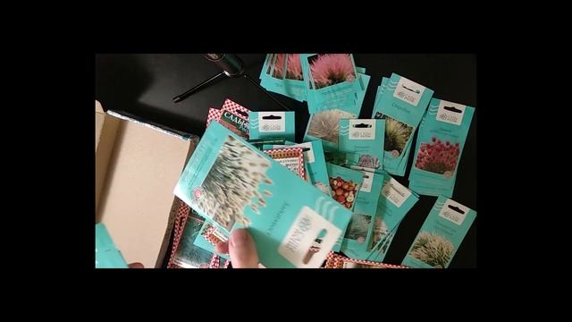 Ударное благоустройство план работ - обзор первых семян от садов россии! смотреть онлайн