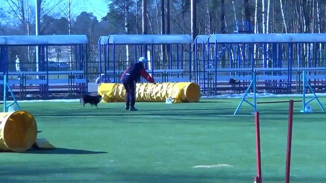 Учёнова Наталия и Няша на соревнованиях по аджилити 14.03.15 смотреть онлайн