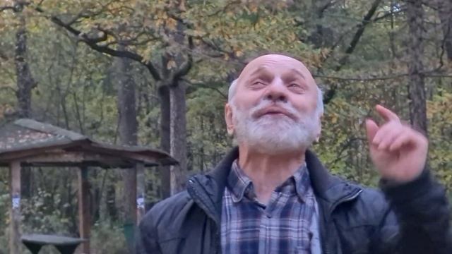 Свистульки - свиристелки смотреть онлайн