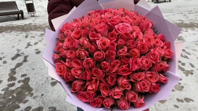 101 коралловая роза Эйс пинк смотреть онлайн