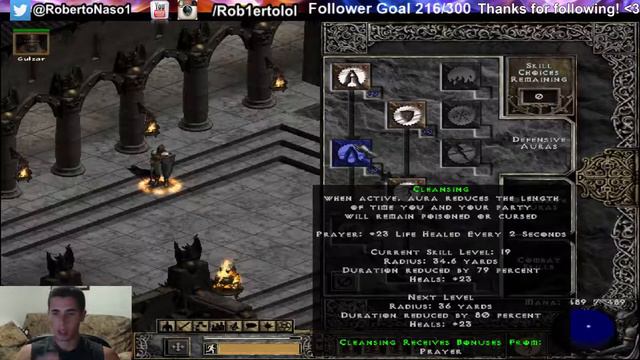 Best Diablo 2 Paladin Hammer Build (Ladder) смотреть онлайн