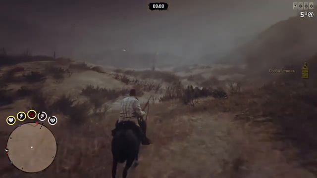 Red Dead Redemption 2 Online Экспресс доставка, задание свободного режима