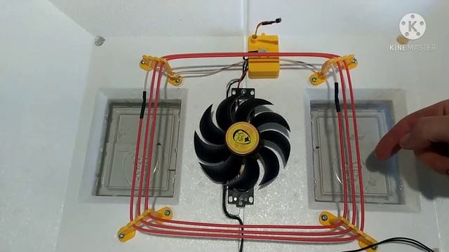 Один из лучших инкубаторов /Обзор инкубатора Теплуша люкс 72.19 марта 2021 г. смотреть онлайн