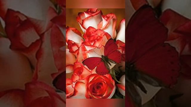 Удивительные фото природы смотреть онлайн
