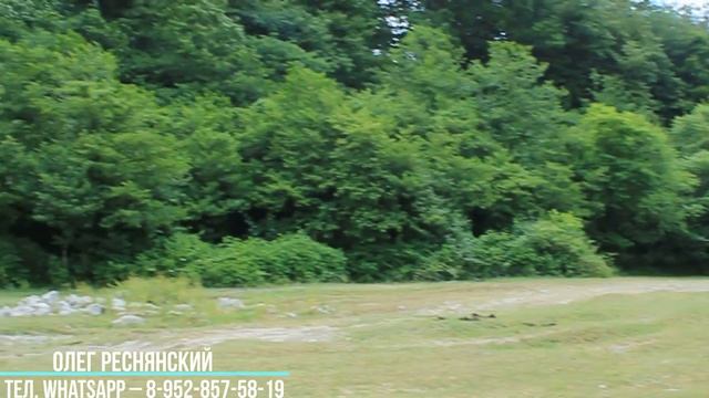 Участок 80 соток в Сочи! Земельные участки Сочи! смотреть онлайн