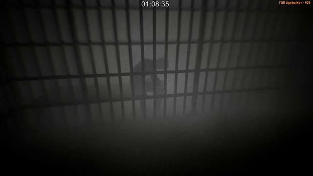 The Fidelio Incident - Что же случилось ? (финал) смотреть онлайн