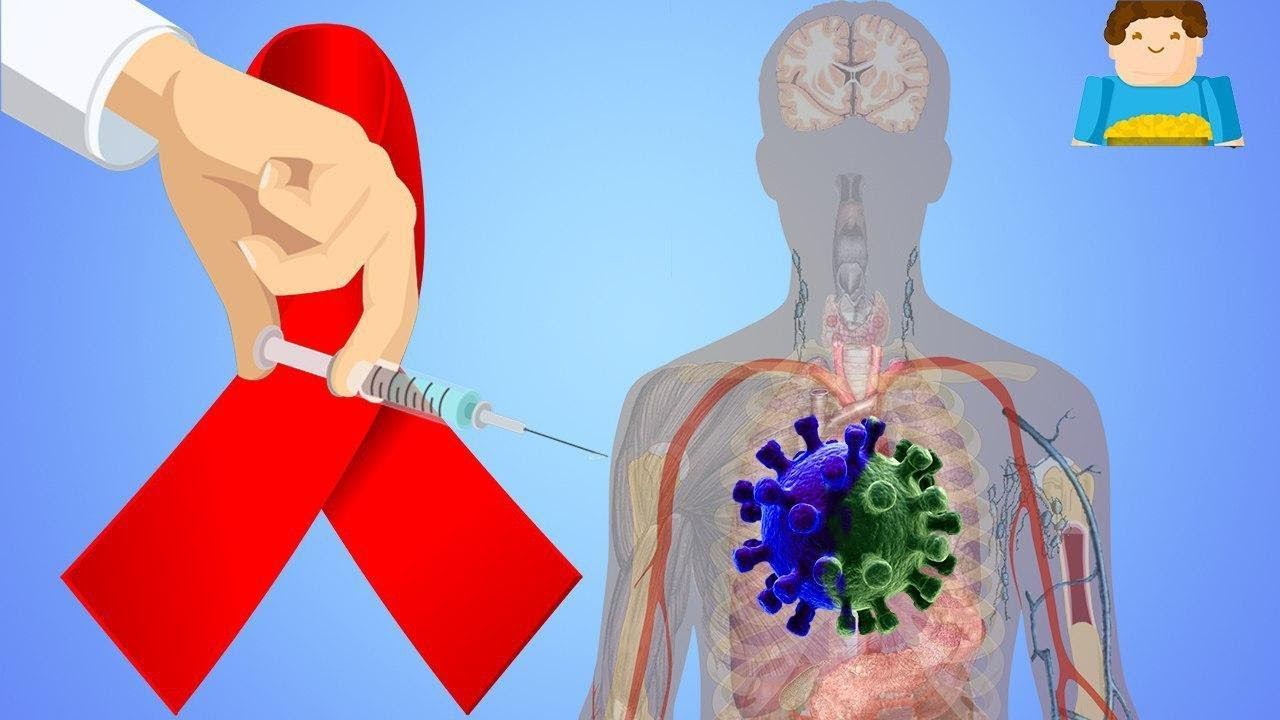 Скоро ли найдут лекарство от СПИДа? | Plushkin смотреть онлайн