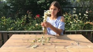 ?Как сделать венок из ромашек.?