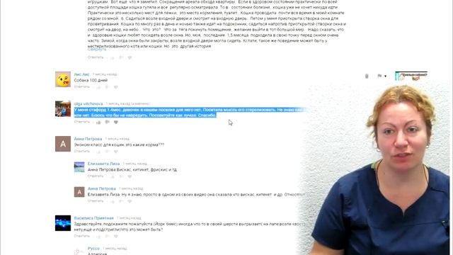 Собаку укачивает в машине, что давать? ВетОтвет смотреть онлайн