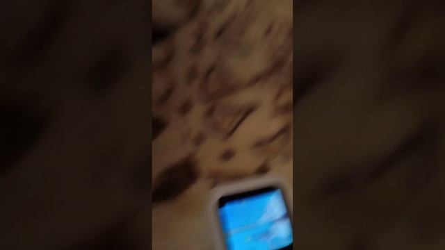 Я купил кнопочный телефон. смотреть онлайн