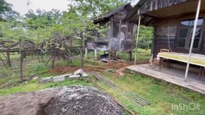 Купила дом в Грузии. Продолжение…