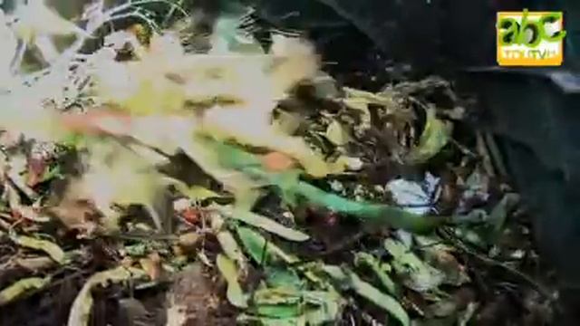 Comment faire du compostage en bac смотреть онлайн