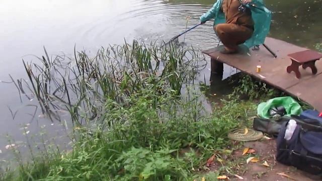 Пирогово2-Шереметьево смотреть онлайн