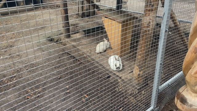 УЛЬЯНОВСК/ПРОГУЛКА ПО ЦЕНТРУ УЛЬЯНОВСКА/ГОСТИНИЦА ОКТЯБРЬСКАЯ/НАБЕРЕЖНАЯ\АРХАНГЕЛЬСКАЯ СЛОБОДА смотреть онлайн