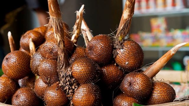 Стройка Вдохновение