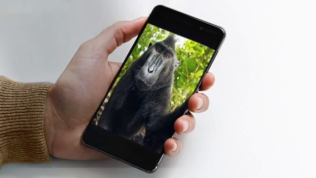 Nokia 6 Самый полный обзор Анонс новинок смотреть онлайн