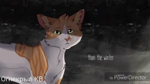 {Коты-Воители}||▪□Листопад и Остролистая□▪||[Turn Me On]||~С Днем защиты детей!~