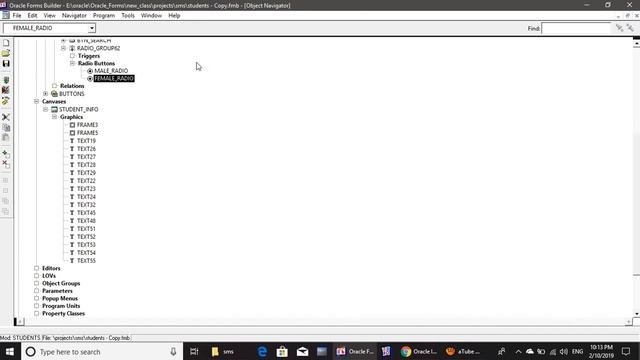 Radio Buttons in Oracle Forms (6i) смотреть онлайн