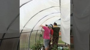 Затеняем теплицу спанбондом от палящих солнечных лучей и конденсата, Мордовия