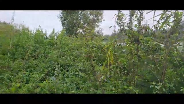 Коп у Дуная. Новые находки из истории нашего города. смотреть онлайн