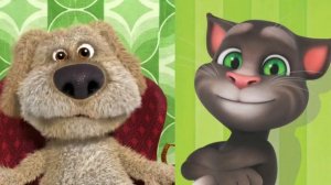 Бен оценивает котов